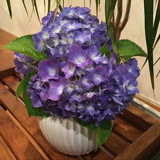 お値下げしました♥秘色花器 華道 生花 物悲し フラワーベース