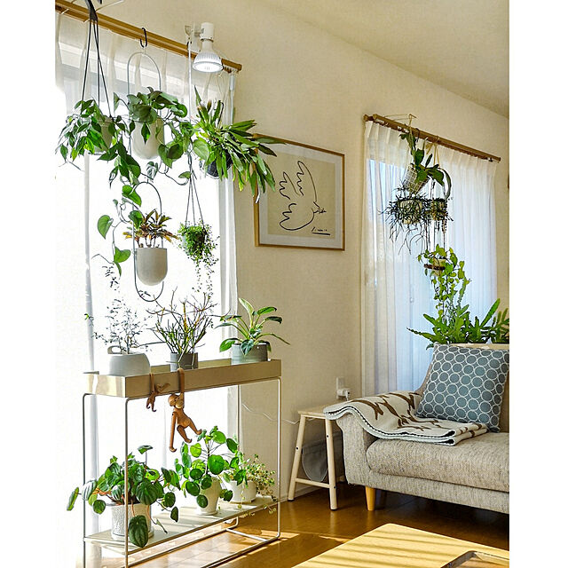 nyancoの-【3年保証】BARREL公式 植物育成LEDライト 【NEO TSUKUYOMI LED 20W（ネオツクヨミ）】 ホワイト NEOTSUKUYOMI-20W 最大3年保証の家具・インテリア写真