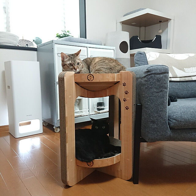 maikyの猫壱-猫壱 バリバリボウルタワー (レギュラー, ライトブラウン)の家具・インテリア写真