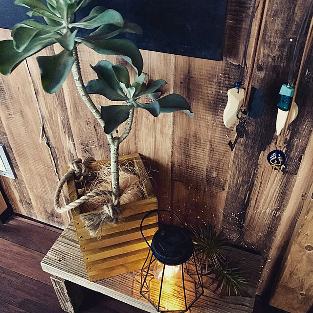 micoのアサヒペン-カインズ WOOD水性木部保護塗料 パイン 0.7Lの家具・インテリア写真