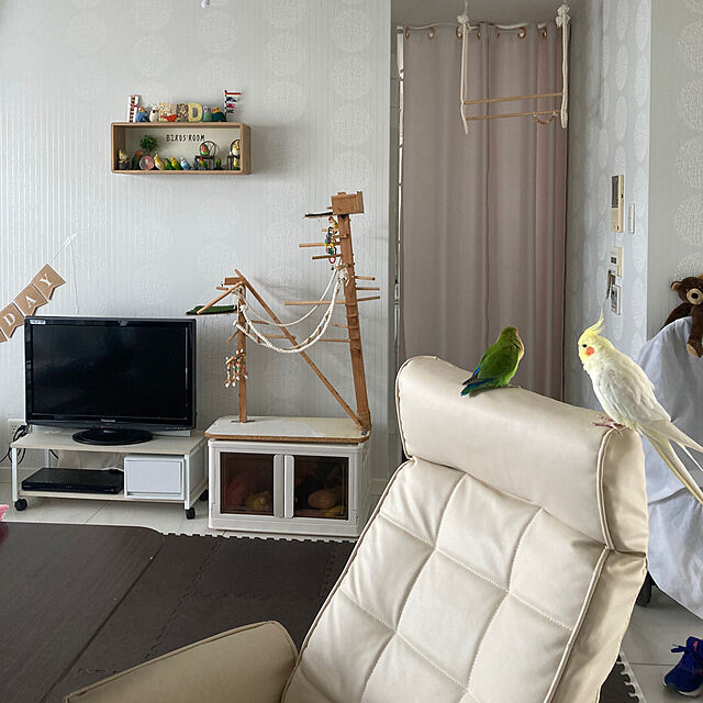 toratanのアイリスオーヤマ-レザー調回転チェアの家具・インテリア写真