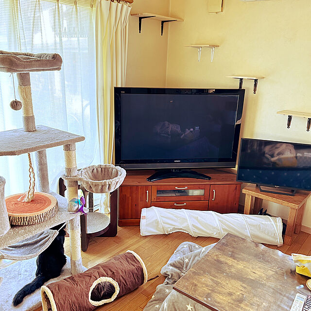 prelumoの-バリバリボウルタワーXL ダークブラウン(1個)【猫壱】の家具・インテリア写真