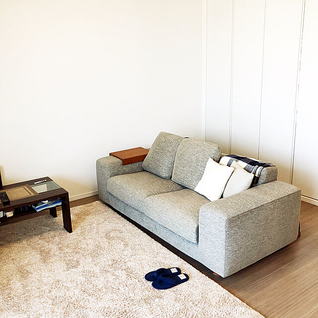 HAMPEMのニトリ-アクセントラグ(SシャギーBE 160X230) の家具・インテリア写真