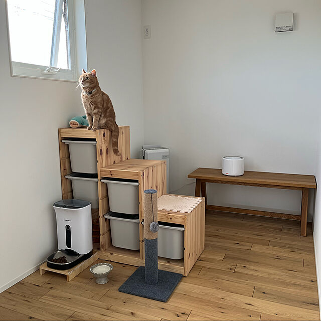 n__roomのイケア-TROFAST トロファスト フレームの家具・インテリア写真