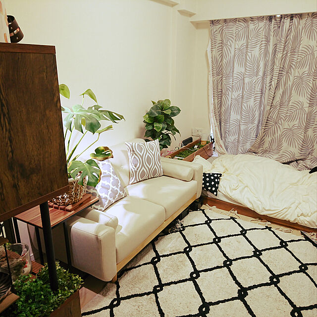 yuyuのニトリ-遮光2級・遮熱カーテン(パームリーフ グレー 100X200X2) の家具・インテリア写真