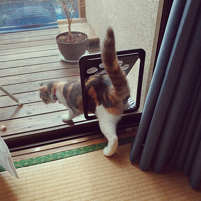 fukuのLESYPET-LESYPET ペットドア 網戸ドア 猫ドア 網戸専用 犬猫出入り口 小、中型犬用 24cm×29cmの家具・インテリア写真