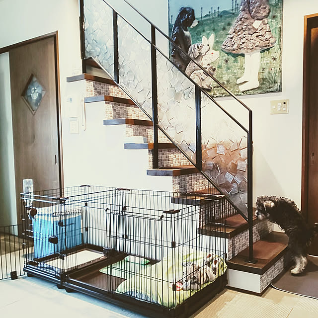 割り引き アイリスオーヤマ トイレトレーニングセット ワイドサイズ