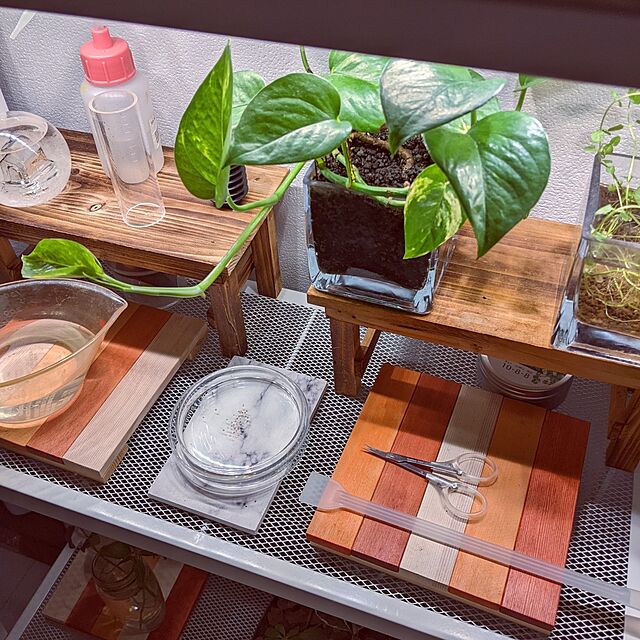 mi-saの-ボタニカルソイル 1L×2袋 観葉植物 土 虫がわかない 室内 清潔 栄養 黒土 多肉 サボテン 用土 2L 送料無料の家具・インテリア写真