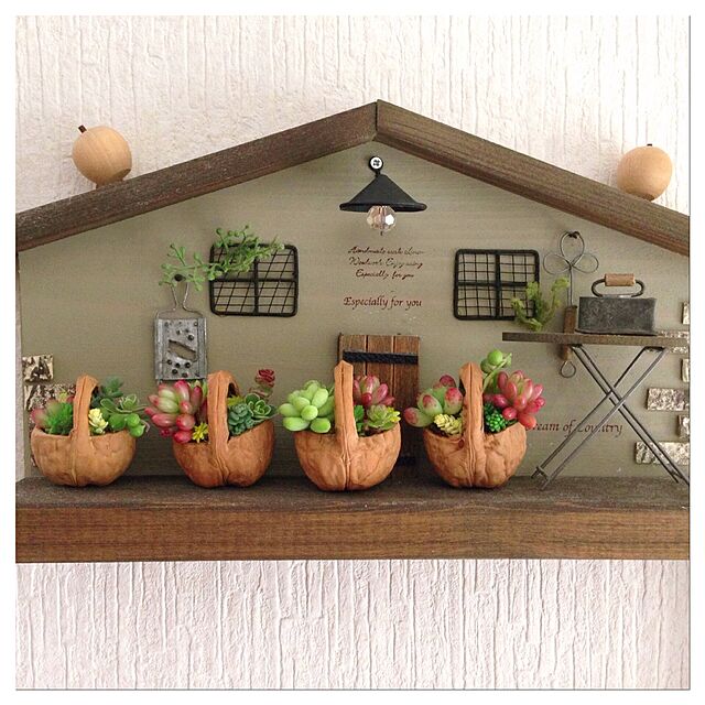 kurumichocoの-多肉植物　セネシオ属　グリーンネックレス　7.5cm鉢の家具・インテリア写真