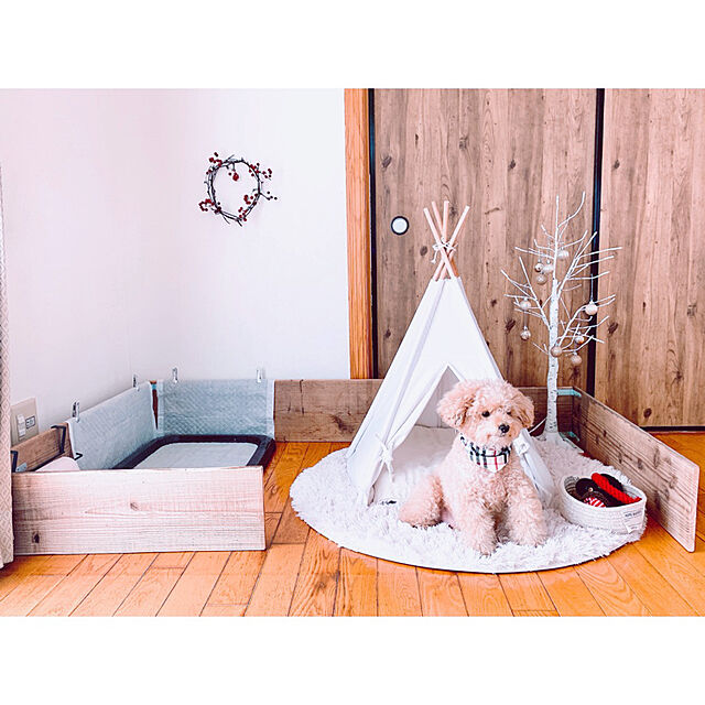 teaの-ペットテント ティピー テント 室内 三角 犬小屋 夏冬 対応 クッション 付き 5カラー_tbxの家具・インテリア写真