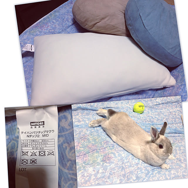 yokomokoのニトリ-枕 抗菌防臭 低反発チップまくら (Nチップ2 MID)  『1年保証』 『玄関先迄納品』の家具・インテリア写真