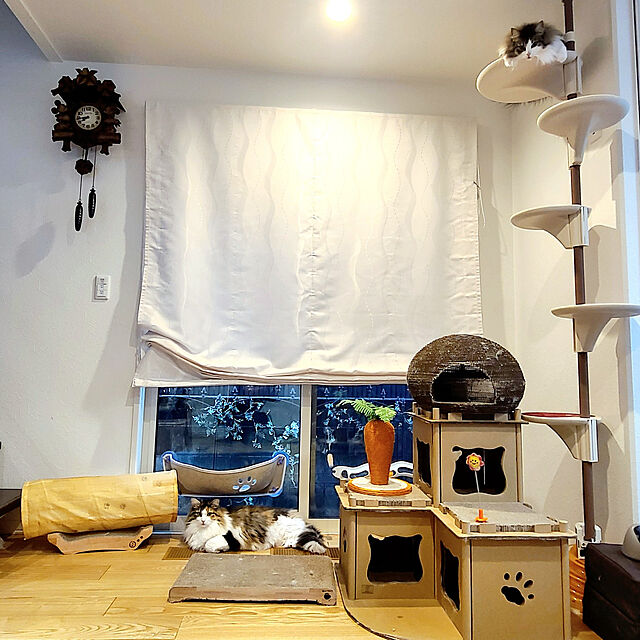 akiko6193のドギーマン-キャティーマン Nekoリビング キャティ―ポールの家具・インテリア写真