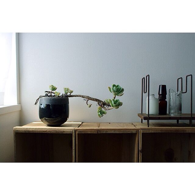 Atsushiの-DOMANI (ドマーニ) MINSK　ベルギー花器の家具・インテリア写真