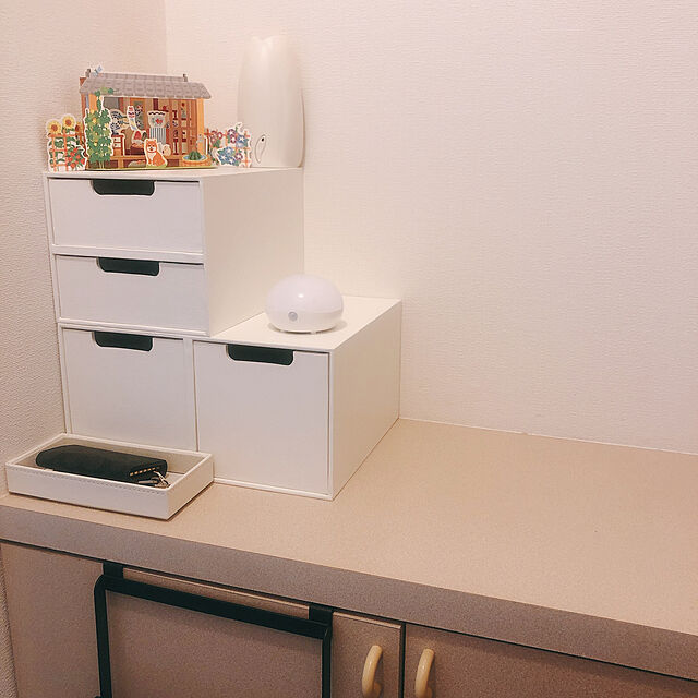 makoのニトリ-小物トレー(DIVINOS S WH) の家具・インテリア写真