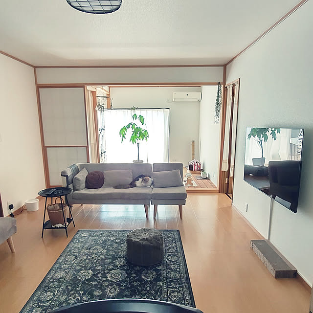 +CHIHARU+のノーブランド品-猫 爪研ぎマット 爪とぎマット catmat01 one size マット左×ダークグレーの家具・インテリア写真