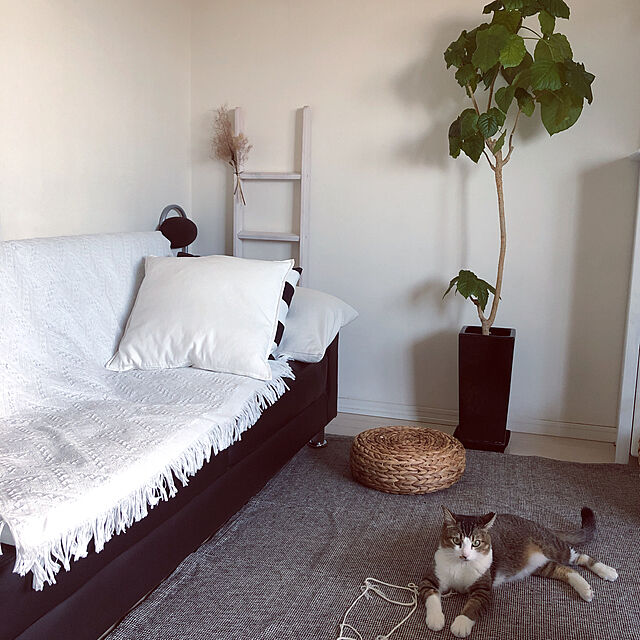 nekomiのイケア-【IKEA】GURLI/グルリ クッションカバー ホワイト50x50 cmの家具・インテリア写真