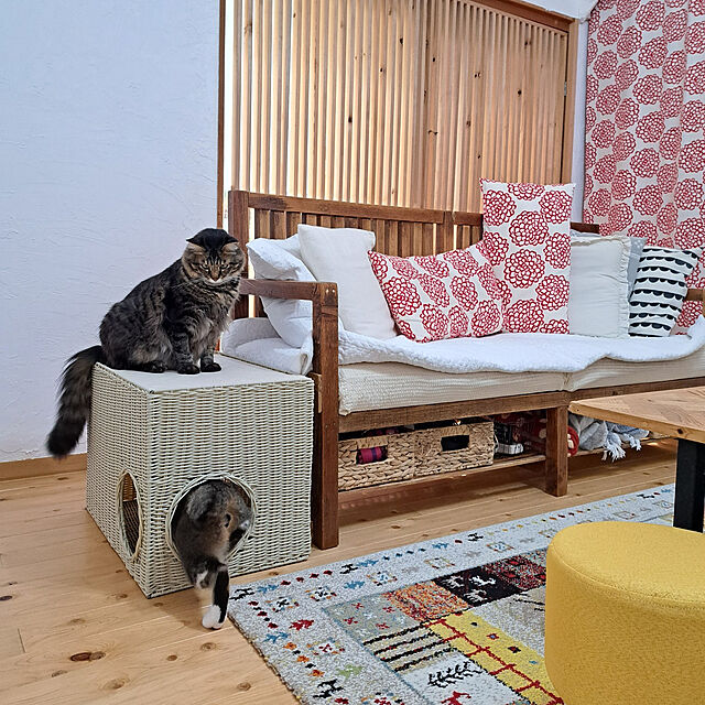 ayaのグループストア-ソファーサイドキャットハウス ラタン風 キャットベッド クッション付きの家具・インテリア写真