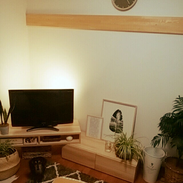 reonのニトリ-やわらかシャギーラグ(BR ダイヤ185X185) の家具・インテリア写真