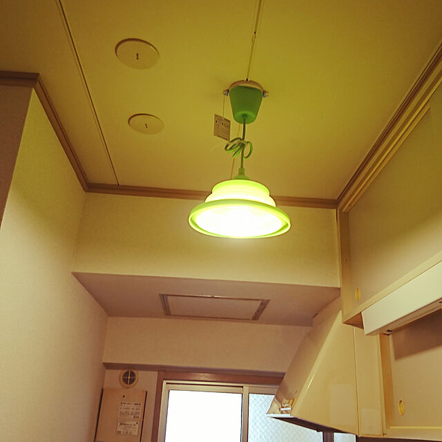 booのドウシシャ-ルミナス シリコンペンダントライト グリーン 60W相当 LED電球 電球色付き TN-PS6LHGの家具・インテリア写真