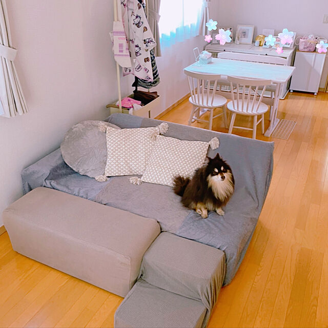 cocoのニトリ-ベンチチェア(ファンシー WW) の家具・インテリア写真