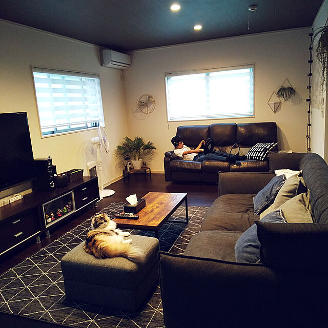 KMTのニトリ-3人用ソファ(ソフティーナKD DGY) の家具・インテリア写真