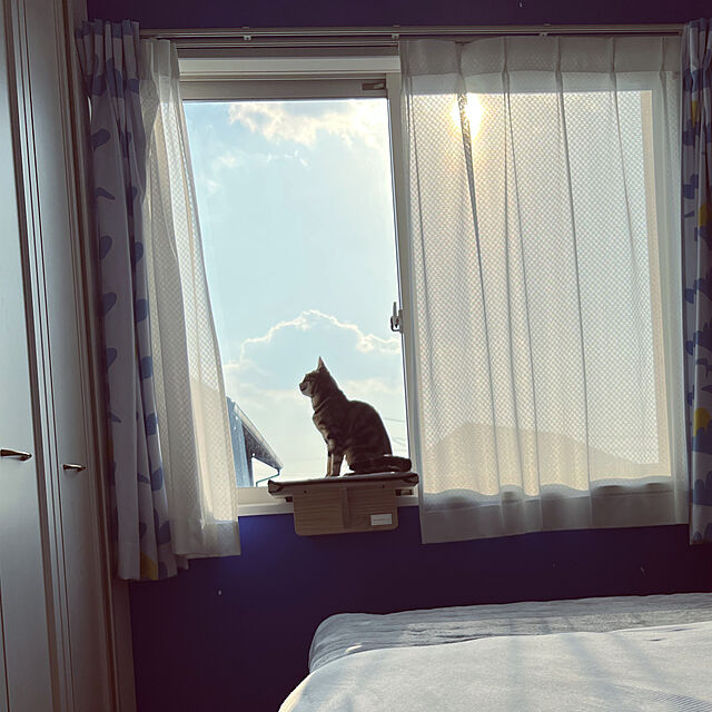 karinのPetsfit-Petsfit 猫窓用ベッド キャットソファー ウインドウベッド マット付き 取り付けタイプ 日向ぼっこの家具・インテリア写真