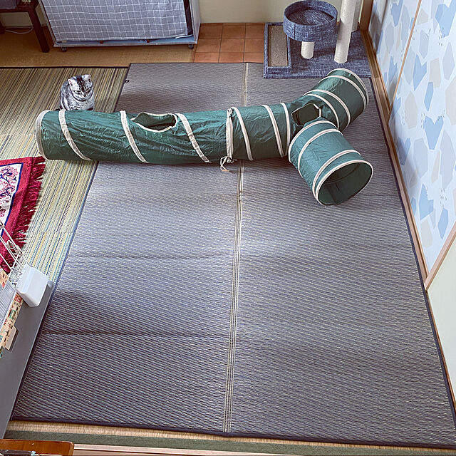 yuzuaoのイケヒコ・コーポレーション-い草ラグ　Ｆソリッド　【イケヒコ】の家具・インテリア写真
