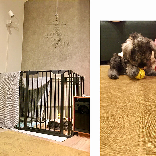 Sakkoの三栄コーポレーション-犬 ケージ ペット サークル おしゃれ 6枚セット Mサイズ 小型犬 中型犬 折り畳み ゲージ 広い 北欧 柵 アイアン フェンス ドア 室内 (A)ノルディの家具・インテリア写真