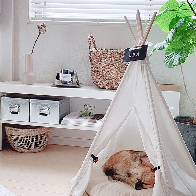 mimiの-四角スクエア Sサイズペットテント ティピーテント 犬 猫テント 室内テント＆クッションセット ペットハウス 無地 ナチュラルホワイトの家具・インテリア写真
