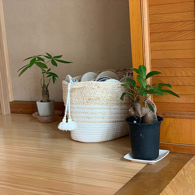 SHIZUKAのニトリ-スリッパ(MY ボーダーI BL M) の家具・インテリア写真