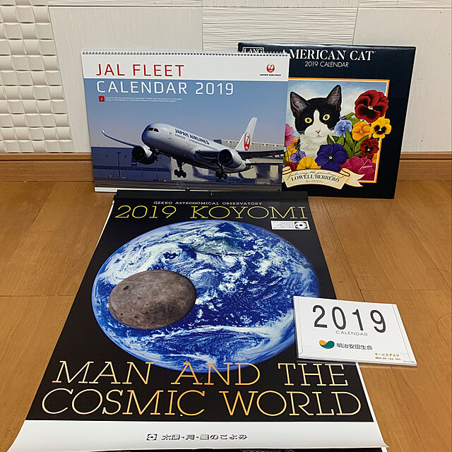 mizucchiの-JAL FLEET 2019年カレンダーの家具・インテリア写真
