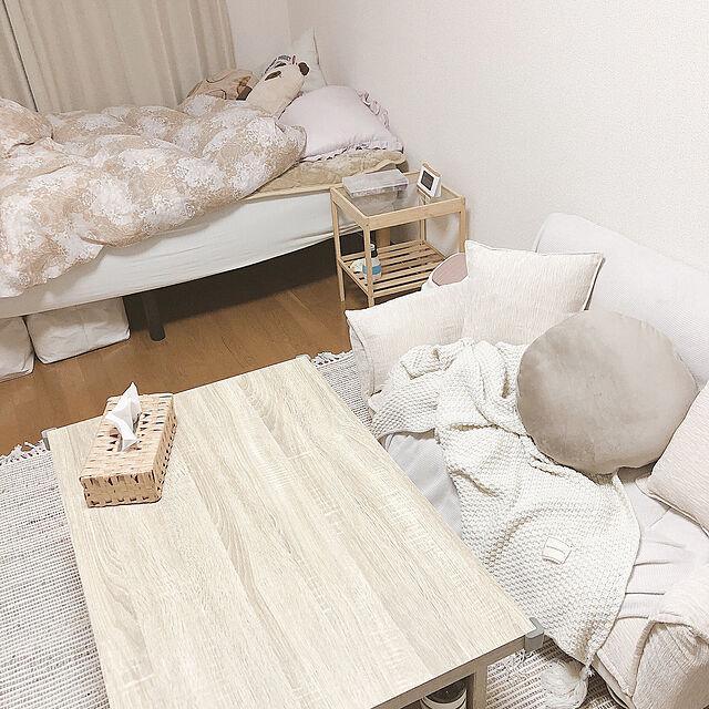 pmpmのニトリ-モチモチクッション(N40R BR) の家具・インテリア写真