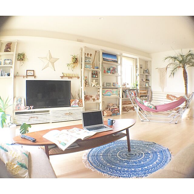 sunny_smileの-キセログラフィカLサイズ（16−20センチ）エアープランツの家具・インテリア写真