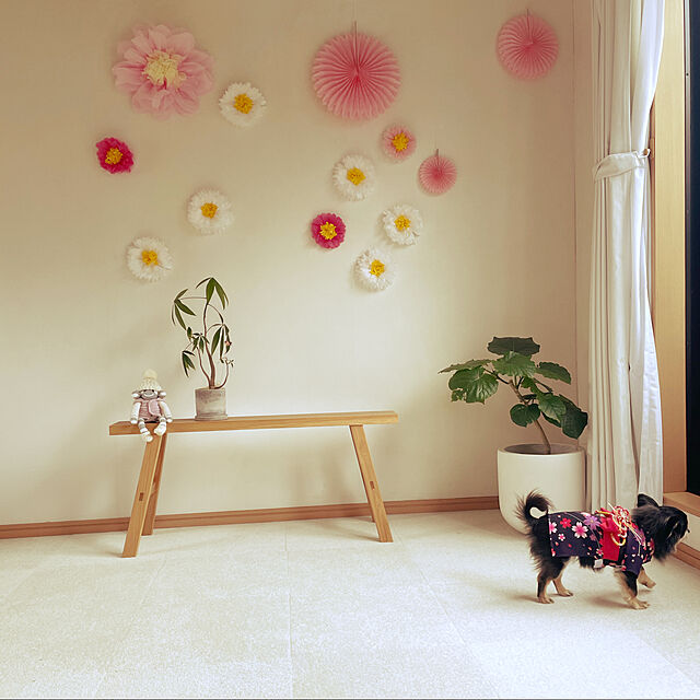 cocoの-鉢カバー TL01M（直径30cm×H30cm）（底穴なし）（軽量プランター/セメント製）（鉢/花器/観葉植物用）（ニュートラルカラー）の家具・インテリア写真