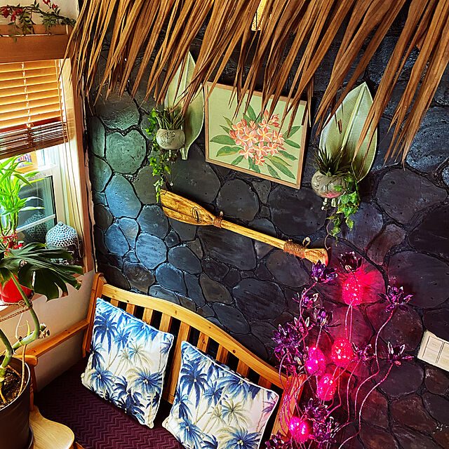 mrs.hawaiiの-ミリオンバンブー ドラセナ サンデリアーナ 6号鉢サイズ 鉢植え 送料無料 薫る花 観葉植物 おしゃれ インテリアグリーン 中型 小型の家具・インテリア写真