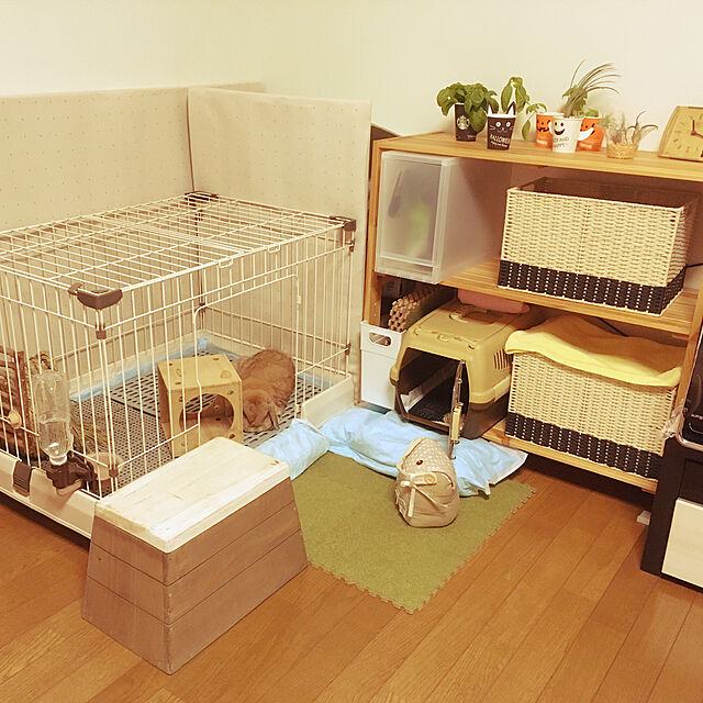 ackoの-動物を飼うなら！ペット用品 ペット ハウス ゲージ 小型犬 室内犬に快適、サイズ!!900Lの家具・インテリア写真