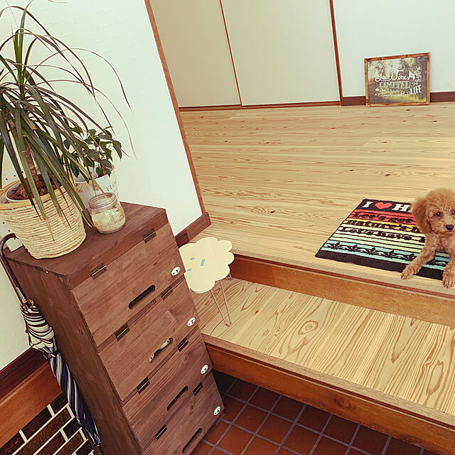 a-saの東谷-東谷 シューズラック CCR-400の家具・インテリア写真