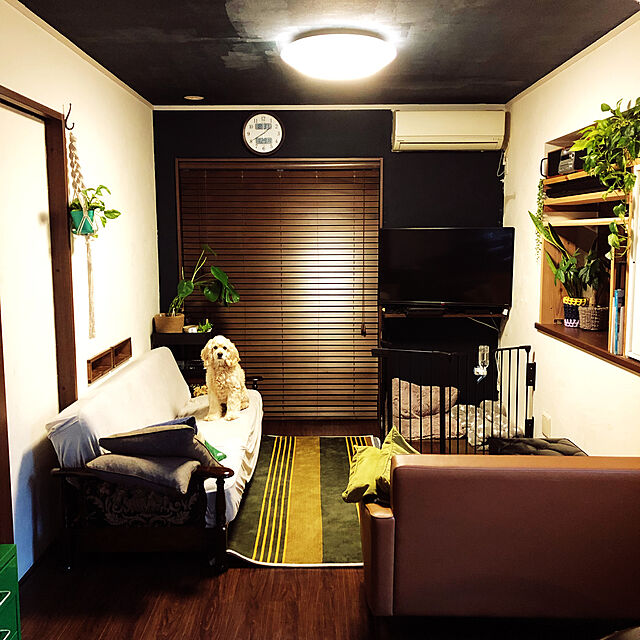 IZUMIのBabydan(ベビーダン)-【Babydan(ベビーダン)】ハースゲートXL　5面セットの家具・インテリア写真