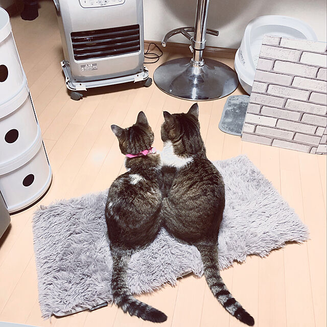 nnmmのアイリスオーヤマ(IRIS OHYAMA)-アイリスオーヤマ ネコのトイレ ハーフカバー (スコップ付き) しろの家具・インテリア写真