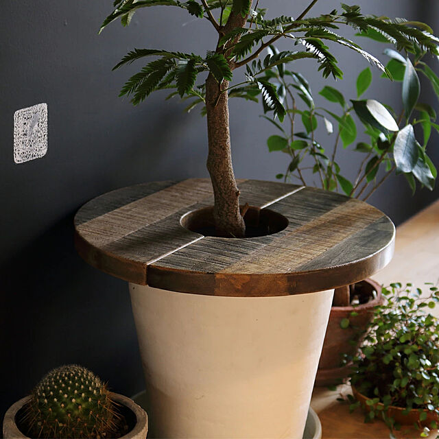 e-sumail-styleの-《HangOut》プランツテーブル サークルタイプ30 天板 ディスプレイ台 ディスプレイ 耐久性 観葉植物 植木鉢 インテリアグリーン 丸 ラウンド 円形 木製 チーク マンゴー pltc30の家具・インテリア写真