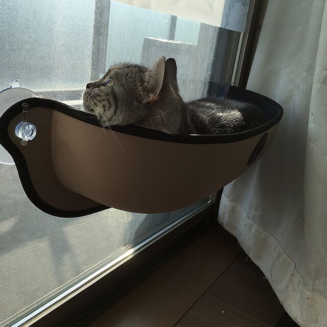 mikomaruの-EZ MOUNT WINDOW BED　イージーマウント　ウィンドウベッド　タン （91911）【猫 ベッド キャット】【特箱】の家具・インテリア写真