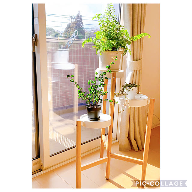 timtamのイケア-[IKEA/イケア/通販]SATSUMAS サッツマス プラントスタンド, 竹/ホワイト[D](c)(60294962)の家具・インテリア写真