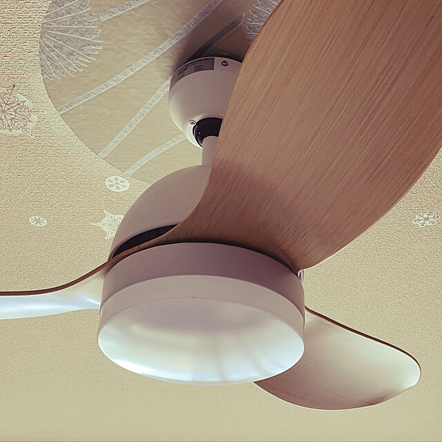 leoleoのVENTOTA合同会社-シーリングファンライト リモコン付き DCモーター 傾斜天井 ノンブラシ 静か LED 照明 Molisの家具・インテリア写真