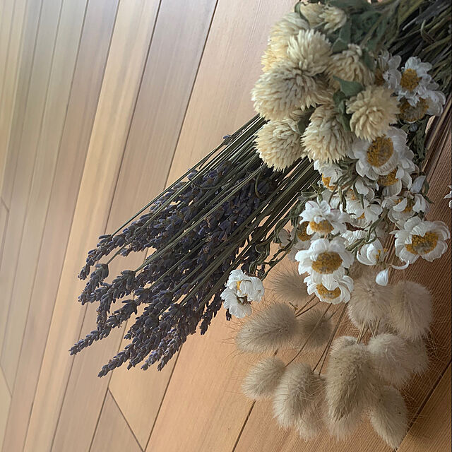 h_home.hの-薫りのラベンダー アロマティコ　9cmポット苗 イングリッシュガーデン 宿根草 寄せ植え 地植え 鉢植えの家具・インテリア写真