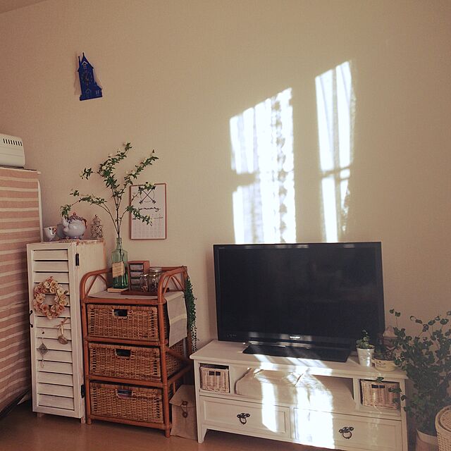 Aiiiの-【観葉植物】フィカスベンジャミン(ベンジャミナ)バロックの家具・インテリア写真