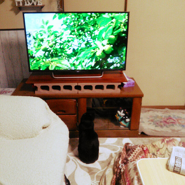 Tomopのニトリ-アーム付きソファ用 ストレッチカバー(モク BE 2人掛け用) の家具・インテリア写真