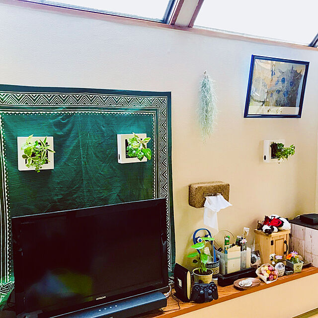 yacoの無印良品-壁にかけられる観葉植物 １６×１６ｃｍの家具・インテリア写真