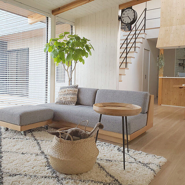 ayanoのニトリ-アクセントラグ(リラシャグ 200X285) の家具・インテリア写真