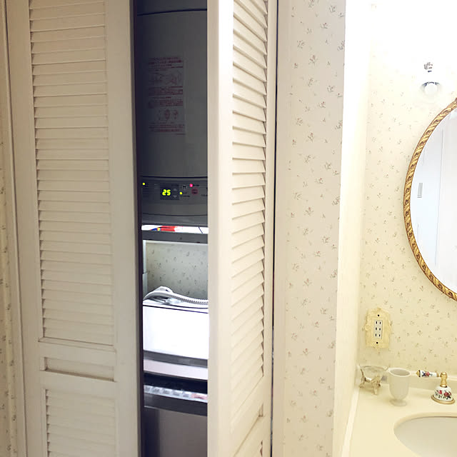karikuruの日立グローバルライフソリューションズ-日立 10.0kg 洗濯乾燥機 シャンパンHITACHI ビートウォッシュ BW-DV100E-Nの家具・インテリア写真