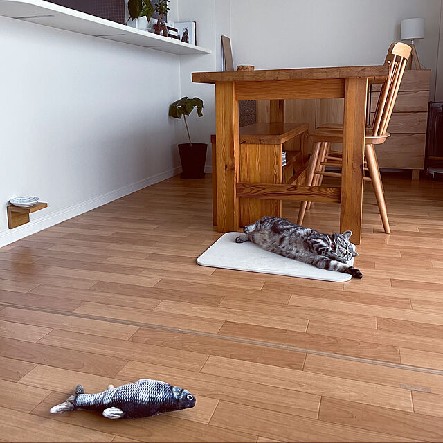hiyupan88の-アーモンド 猫 おもちゃ 電動 魚 ぬいぐるみ 猫おもちゃ USB充電式 またたび 猫遊び リアルな動き 電動魚 動く ネコ おもちゃ 噛むの家具・インテリア写真